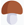 mushroom image